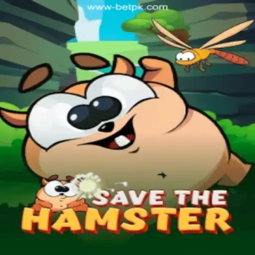 Explore the Thrills of 'SavetheHamster' and Discover BetPK: The Safest Online Betting Platform in the Philippines